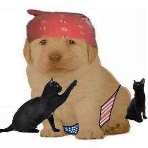 Meet your Posher, Alisha